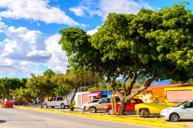 Santa Maria Del Tule, Meksika - 31 Ekim 2016: Santa Maria del Tule, Meksika, Valles Centrales bölgesinde bir sokağın güzel görünümü. Adı bulrush anlamına gelen Nahuatl kelime 'tül' geliyor