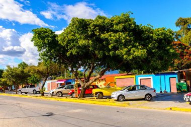 Santa Maria Del Tule, Meksika - 31 Ekim 2016: Santa Maria del Tule, Meksika, Valles Centrales bölgesinde bir sokağın güzel görünümü. Adı bulrush anlamına gelen Nahuatl kelime 'tül' geliyor