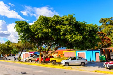 Santa Maria Del Tule, Meksika - 31 Ekim 2016: Santa Maria del Tule, Meksika, Valles Centrales bölgesinde bir sokağın güzel görünümü. Adı bulrush anlamına gelen Nahuatl kelime 'tül' geliyor