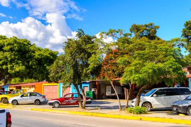 Santa Maria Del Tule, Meksika - 31 Ekim 2016: Santa Maria del Tule, Meksika, Valles Centrales bölgesinde bir sokağın güzel görünümü. Adı bulrush anlamına gelen Nahuatl kelime 'tül' geliyor
