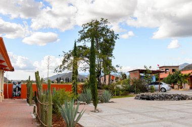 Oaxaca, Meksika - Eki 31, 2016: Mezcal Kumaş El Rey de Matatlan (Oaxaca yakın, Meksika), agav her türlü bir distile alkollü içecek üreten denilen, Meksika kökenli bitki.