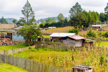 Chiapas, Meksika - Kas 2, 2016: Meksika Chiapas eyaletinde maya köylerinden biri görünümü. Burada maya kökenli gerçek insanlar canlı