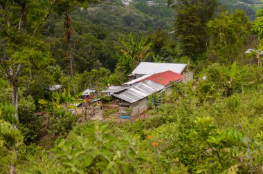 Chiapas, Meksika - 2 Kasım 2016: Meksika'nın Chiapas eyaletindeki maya köylerinden birinin panoraması. Burada maya kökenli gerçek insanlar canlı