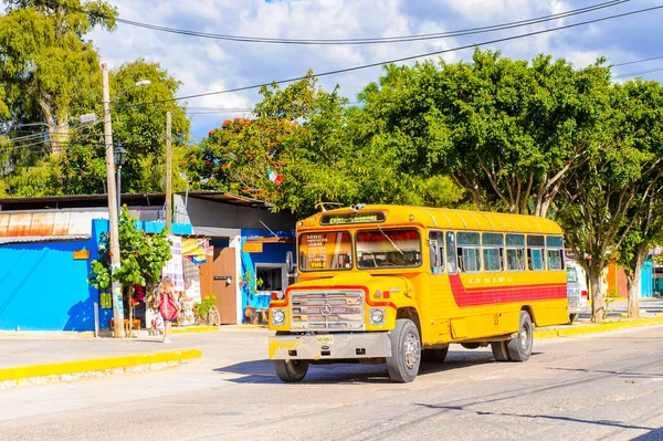 Santa Maria Del Tule, Meksika - 31 Ekim 2016: Santa Maria del Tule, Meksika, Valles Centrales bölgesinde okul otobüsü. Adı bulrush anlamına gelen Nahuatl kelime 'tül' geliyor