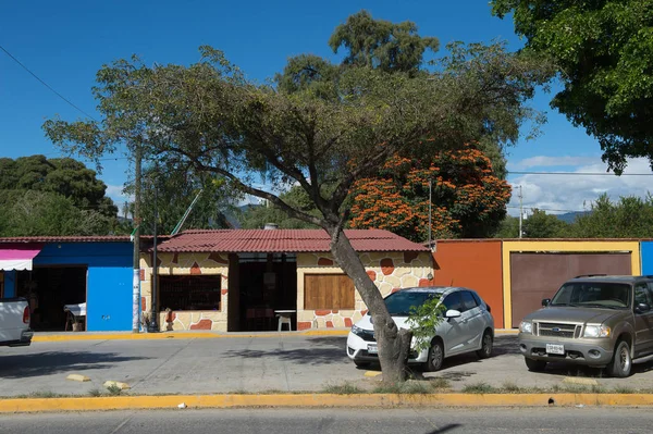 Santa Maria Del Tule Mexico Oct 2016 Vakker Utsikt Santa – stockfoto