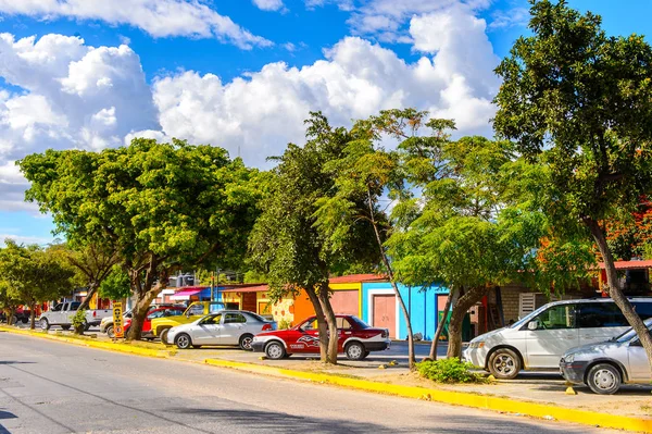 サンタ マリア トゥール メキシコ 10月 2016 サンタ マリア トゥールの通りの美しい景色 メキシコ — ストック写真