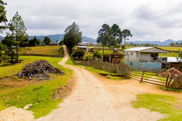 Chiapas, Meksika - Kas 2, 2016: Meksika Chiapas eyaletinde maya köylerinden biri. Burada maya kökenli gerçek insanlar canlı