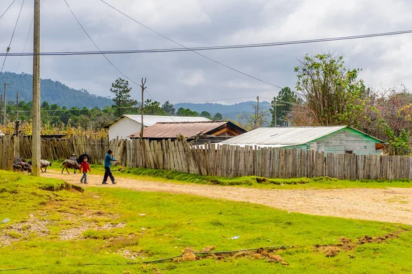 Chiapas, Meksika - Kas 2, 2016: Meksika Chiapas eyaletinde maya köylerinden biri güzel görünümü. Burada maya kökenli gerçek insanlar canlı