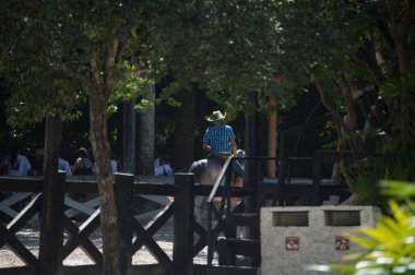 Xcaret, Meksika - 7 Kasım 2016: Kimliği belirsiz kovboy, Meksika'nın Xcaret parkında ata biniyor