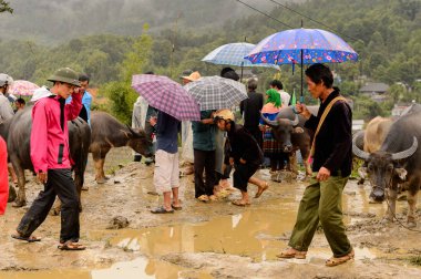 Bac Ha, Vietnam - 21 Eylül 2014: Bac Ha Market Buffalo satış bölümünde tanımlanamayan insanlar, güzel renkli azınlıklar kostümleri giyen insanlar ile büyük bir Pazar pazarı