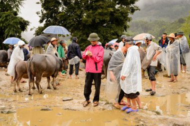 Bac Ha, Vietnam - 21 Eylül 2014: Bac Ha Market Buffalo satış bölümünde tanımlanamayan insanlar, güzel renkli azınlıklar kostümleri giyen insanlar ile büyük bir Pazar pazarı