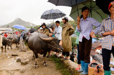 Bac Ha, Vietnam - 21 Eylül 2014: Bac Ha Market Buffalo satış bölümünde tanımlanamayan insanlar, güzel renkli azınlıklar kostümleri giyen insanlar ile büyük bir Pazar pazarı