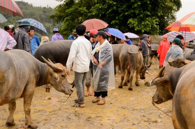 Bac Ha, Vietnam - 21 Eylül 2014: Bac Ha Market Buffalo satış bölümünde tanımlanamayan insanlar, güzel renkli azınlıklar kostümleri giyen insanlar ile büyük bir Pazar pazarı