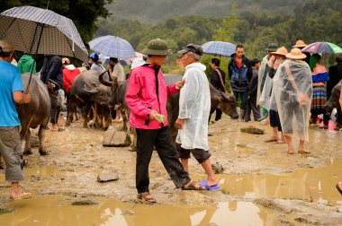 Bac Ha, Vietnam - 21 Eylül 2014: Bac Ha Market Buffalo satış bölümü, güzel renkli azınlıklar kostümleri giyen insanlar ile büyük bir Pazar pazarı