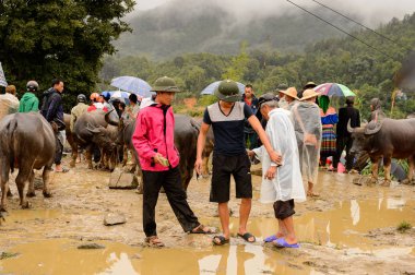 Bac Ha, Vietnam - 21 Eylül 2014: Bac Ha Market Buffalo satış bölümü, güzel renkli azınlıklar kostümleri giyen insanlar ile büyük bir Pazar pazarı