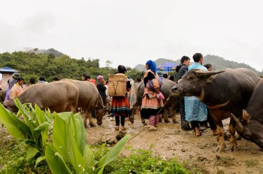 Bac Ha, Vietnam - 21 Eylül 2014: Bac Ha Market Buffalo satış bölümünde tanımlanamayan insanlar, güzel renkli azınlıklar kostümleri giyen insanlar ile büyük bir Pazar pazarı