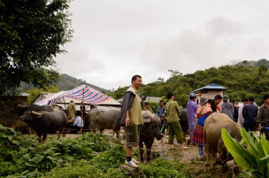 Bac Ha, Vietnam - 21 Eylül 2014: Bac Ha Market Buffalo satış bölümünde tanımlanamayan insanlar, güzel renkli azınlıklar kostümleri giyen insanlar ile büyük bir Pazar pazarı