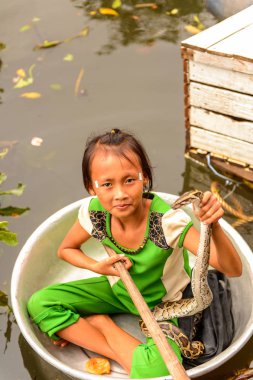 Lake Tonle Sap, Combodia - 28 Eylül 2014: Tanımlanamayan Vietnamlı kız, Güneydoğu Asya'nın en büyük tatlı su gölü olan Tonle Sap Gölü'nde leğen kemiğinde bir yılanla yelken açar.