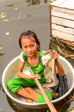 Lake Tonle Sap, Combodia - 28 Eylül 2014: Tanımlanamayan Vietnamlı kız, Güneydoğu Asya'nın en büyük tatlı su gölü olan Tonle Sap Gölü'nde leğen kemiğinde bir yılanla yelken açar.