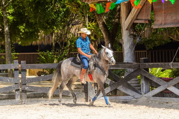 Xcaret Mexiko Nov 2016 Unbekannter Cowboy Reitet Xcaret Park Mexiko — Stockfoto
