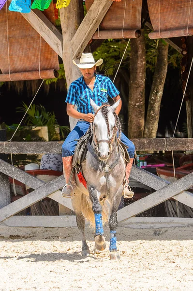 Xcaret Μεξικό Νοε 2016 Άγνωστος Καουμπόης Καβαλάει Ένα Άλογο Στο — Φωτογραφία Αρχείου