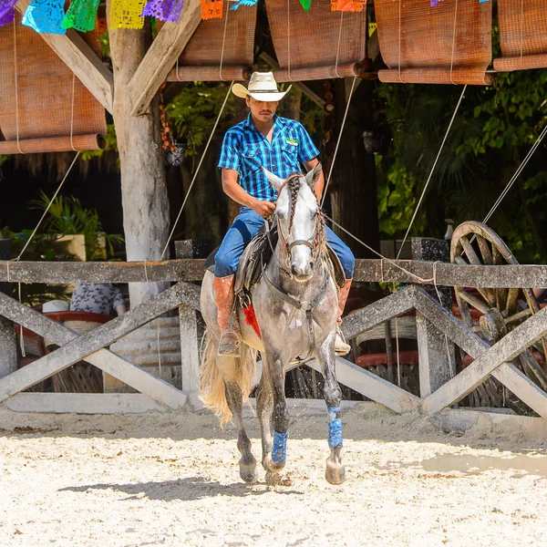 Xcaret Μεξικό Νοε 2016 Άγνωστος Καουμπόης Καβαλάει Ένα Άλογο Στο — Φωτογραφία Αρχείου