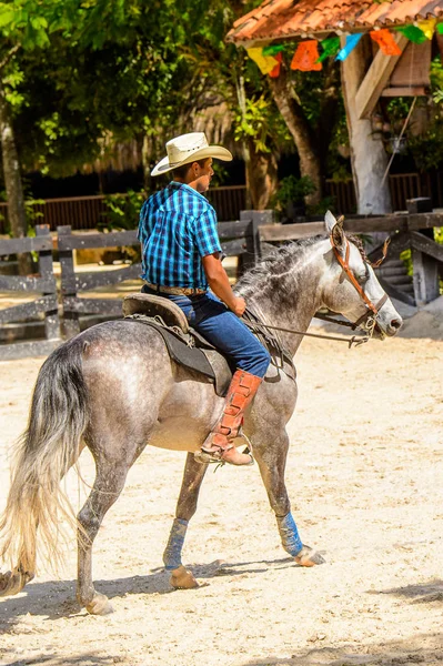 墨西哥 Xcaret 2016 不明身份的牛仔在墨西哥 Xcaret 公园骑马 — 图库照片