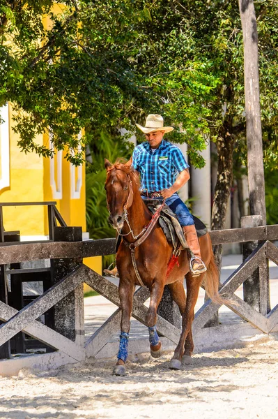 Xcaret Mexique Nov 2016 Cow Boy Non Identifié Monte Cheval — Photo