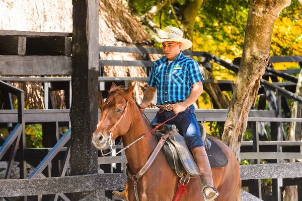 Xcaret Mexico Nov 2016 Unidentified Cowboy Rides Horse Xcaret Park — Stock Photo, Image