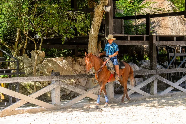 Xcaret Mexiko November 2016 Oidentifierad Cowboy Rider Häst Xcaret Park — Stockfoto