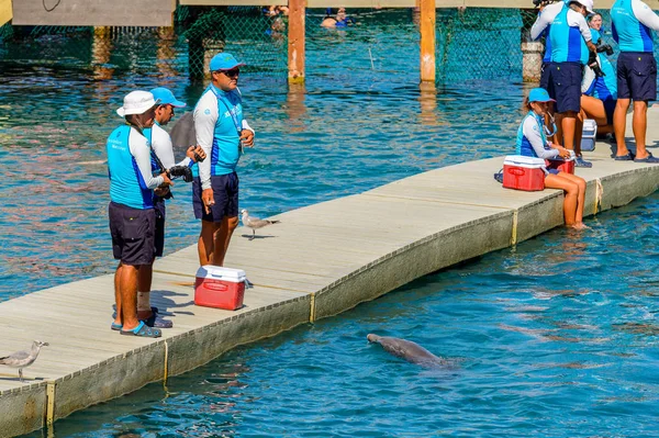 Xcaret México Nov 2016 Trabalho Paópolis Não Identificado Para Atração — Fotografia de Stock