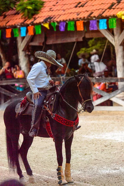 Кшкарет Мексика Листопада 2016 Невідомі Мексиканська Ковбой Їде Кінь Показує — стокове фото