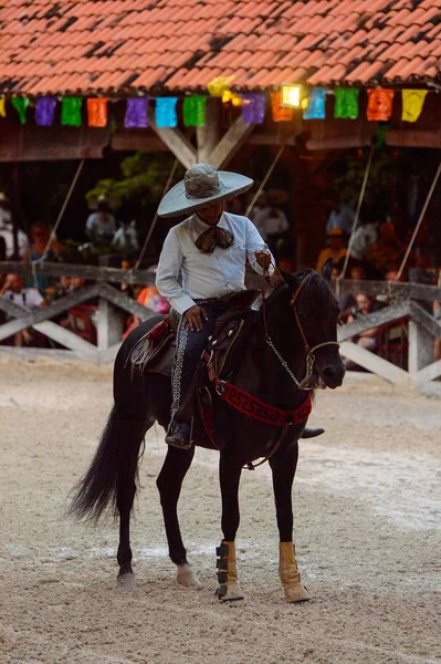 Кшкарет Мексика Листопада 2016 Невідомі Мексиканська Ковбой Їде Кінь Показує — стокове фото