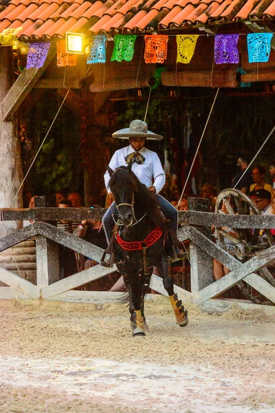 Xcaret, Meksika - 7 Kasım 2016: Kimliği belirsiz kovboy, Meksika'nın Xcaret parkında ata biniyor