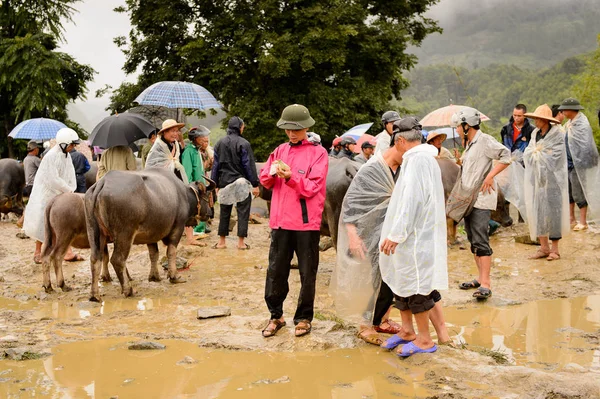 Bac Vietnam Sep 2014 Personas Identificadas Sección Venta Buffalo Mercado — Foto de Stock