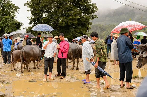 Bac Ha, Vietnam - 21 Eylül 2014: Bac Ha Market Buffalo satış bölümünde tanımlanamayan insanlar, güzel renkli azınlıklar kostümleri giyen insanlar ile büyük bir Pazar pazarı