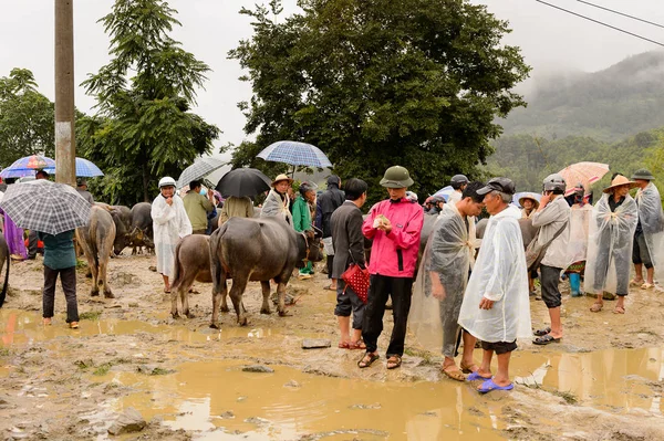 Bac Ha, Vietnam - 21 Eylül 2014: Bac Ha Market Buffalo satış bölümünde tanımlanamayan insanlar, güzel renkli azınlıklar kostümleri giyen insanlar ile büyük bir Pazar pazarı