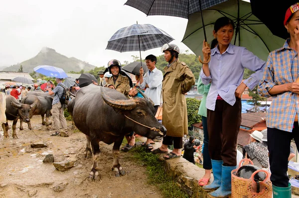 Bac Ha, Vietnam - 21 Eylül 2014: Bac Ha Market Buffalo satış bölümünde tanımlanamayan insanlar, güzel renkli azınlıklar kostümleri giyen insanlar ile büyük bir Pazar pazarı