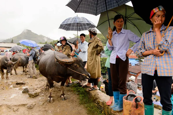 Bac Ha, Vietnam - 21 Eylül 2014: Bac Ha Market Buffalo satış bölümünde tanımlanamayan insanlar, güzel renkli azınlıklar kostümleri giyen insanlar ile büyük bir Pazar pazarı