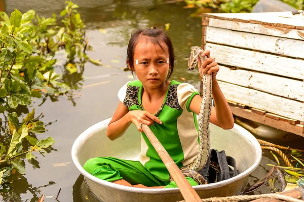 Lake Tonle Sap, Combodia - 28 Eylül 2014: Tanımlanamayan Vietnamlı kız, Güneydoğu Asya'nın en büyük tatlı su gölü olan Tonle Sap Gölü'nde leğen kemiğinde bir yılanla yelken açar.