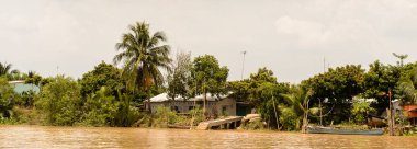Tien Giang Eyaleti, Vietnam - 5 Ekim 2014: Güney Vietnam'da Mekong nehrinin doğası. Mekong 12 en uzun nehir ve akar yalak Çin, Burma, Laos, Tayland, Kamboçya, Vietnam