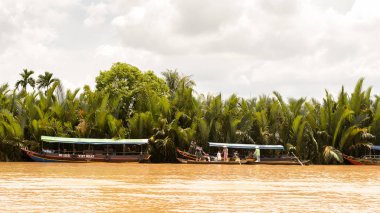Tien Giang Eyaleti, Vietnam - 5 Ekim 2014: Güney Vietnam'da Mekong nehrinin doğası. Mekong 12 en uzun nehir ve akar yalak Çin, Burma, Laos, Tayland, Kamboçya, Vietnam