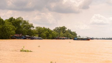 Tien Giang Eyaleti, Vietnam - 5 Ekim 2014: Güney Vietnam'da Mekong nehrinin doğası. Mekong 12 en uzun nehir ve akar yalak Çin, Burma, Laos, Tayland, Kamboçya, Vietnam