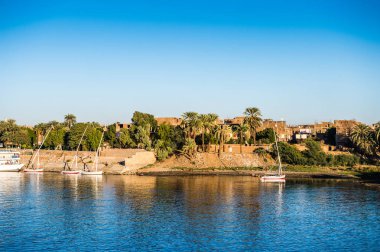 Luxor, Mısır - 30 Kasım 2014: Luxor yakınlarındaki Nil Nehri'nin kıyı şeridi. Nil 6.853 km uzunluğundadır. Nil, on bir ülke tarafından paylaşılan 