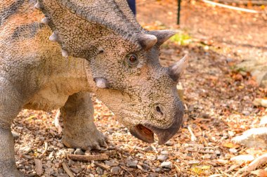 Bratislava, Slovakya - 18 Ekim 2015: Bratislava Dinopark Chasmosaurus, Slovakya. Bir f Bratislava, Slovakya popüler attections.