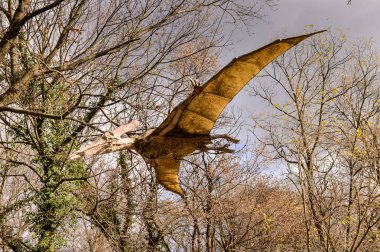 Bratislava, Slovakya - Eki 18, 2015: Pterodactyls Bratislava Dinopark, Slovakya. Bir f Bratislava, Slovakya popüler attections.