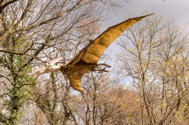 Bratislava, Slovakya - Eki 18, 2015: Pterodactyls Bratislava Dinopark, Slovakya. Bir f Bratislava, Slovakya popüler attections.