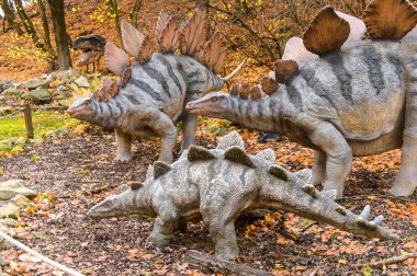 Bratislava, Slovakya - Eki 18, 2015: Bratislava Dinopark Stegosaurus, Slovakya.Stegosaurus Geç Jura döneminden zırhlı kemikli dinozor cinsi