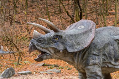 Bratislava, Slovakya - 18 Ekim 2015: Bratislava Dinopark Triceratops, Slovakya. Triceratops, otobur ceratopsid dinozorcunun bir cinsine sahip