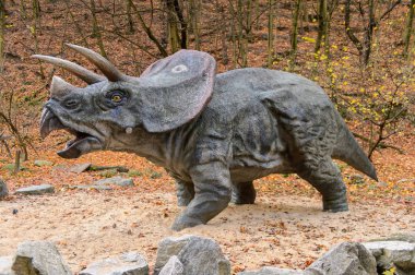 Bratislava, Slovakya - 18 Ekim 2015: Bratislava Dinopark Triceratops, Slovakya. Triceratops, otobur ceratopsid dinozorcunun bir cinsine sahip
